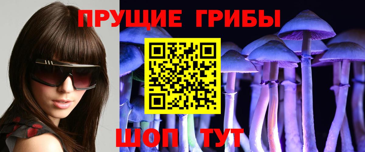 Нарткала  как найти закладки  Вход с VPN  Псилоцибиновые грибы GOLDEN TEACHER 